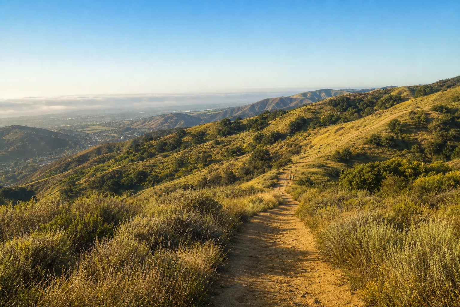 Chaparral trail across rolling open hills in Chino Hills State Park