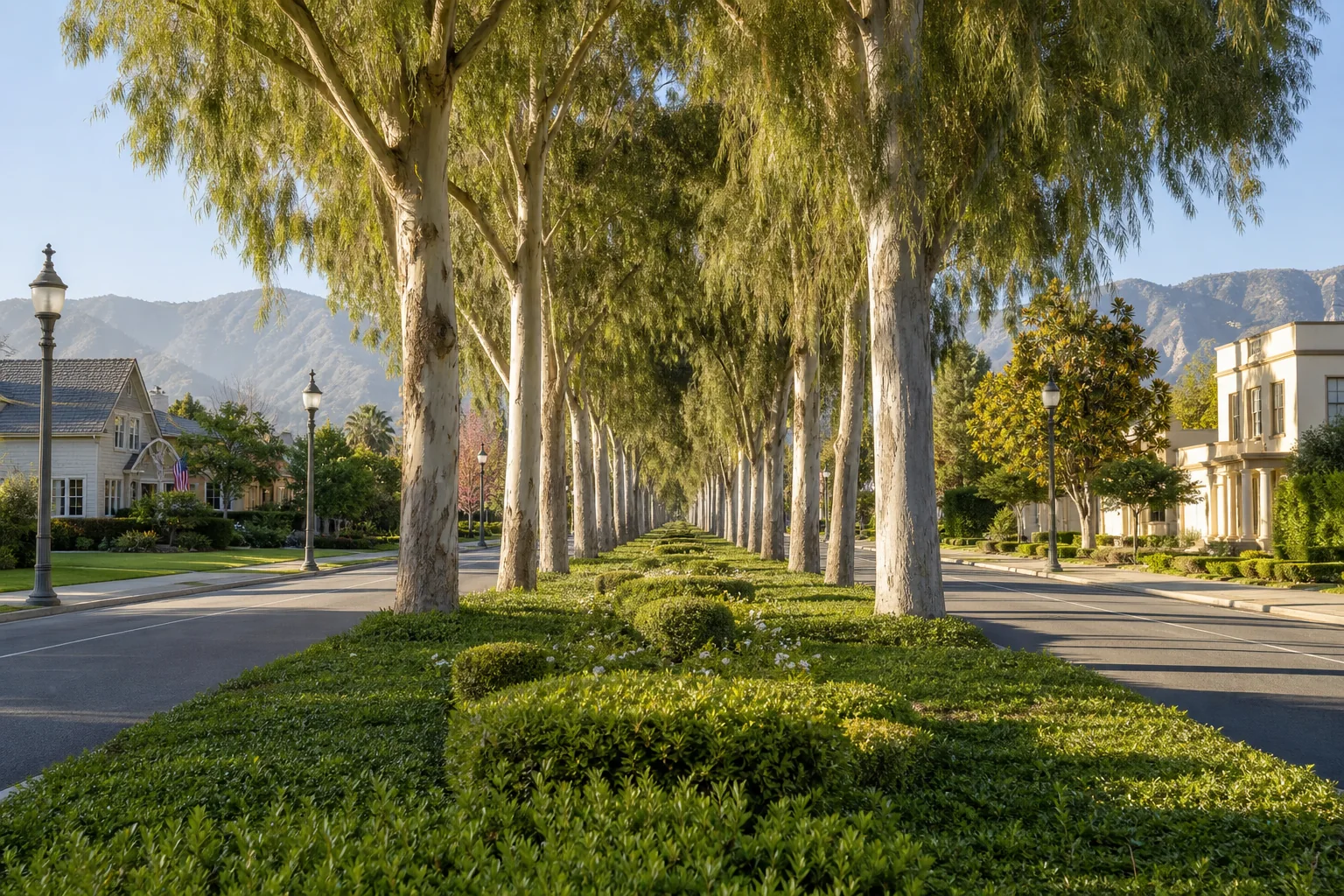 Double rows of mature trees along the landscaped Euclid Avenue median in Upland