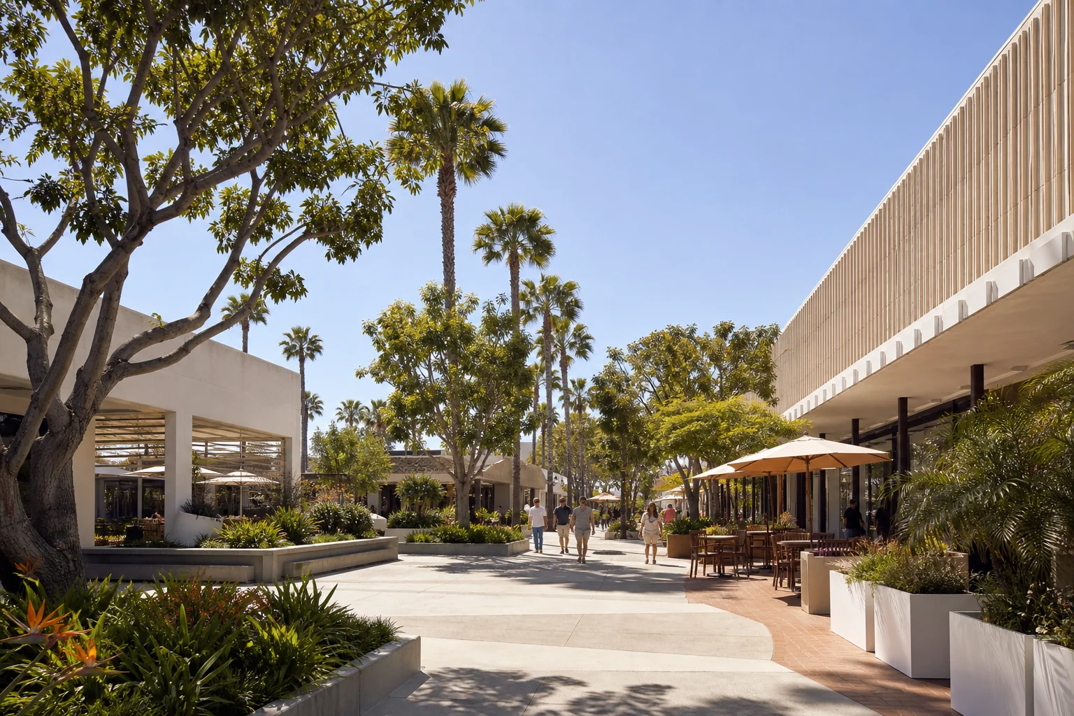 Palm-lined pedestrian shopping promenade representing Lakewood Center