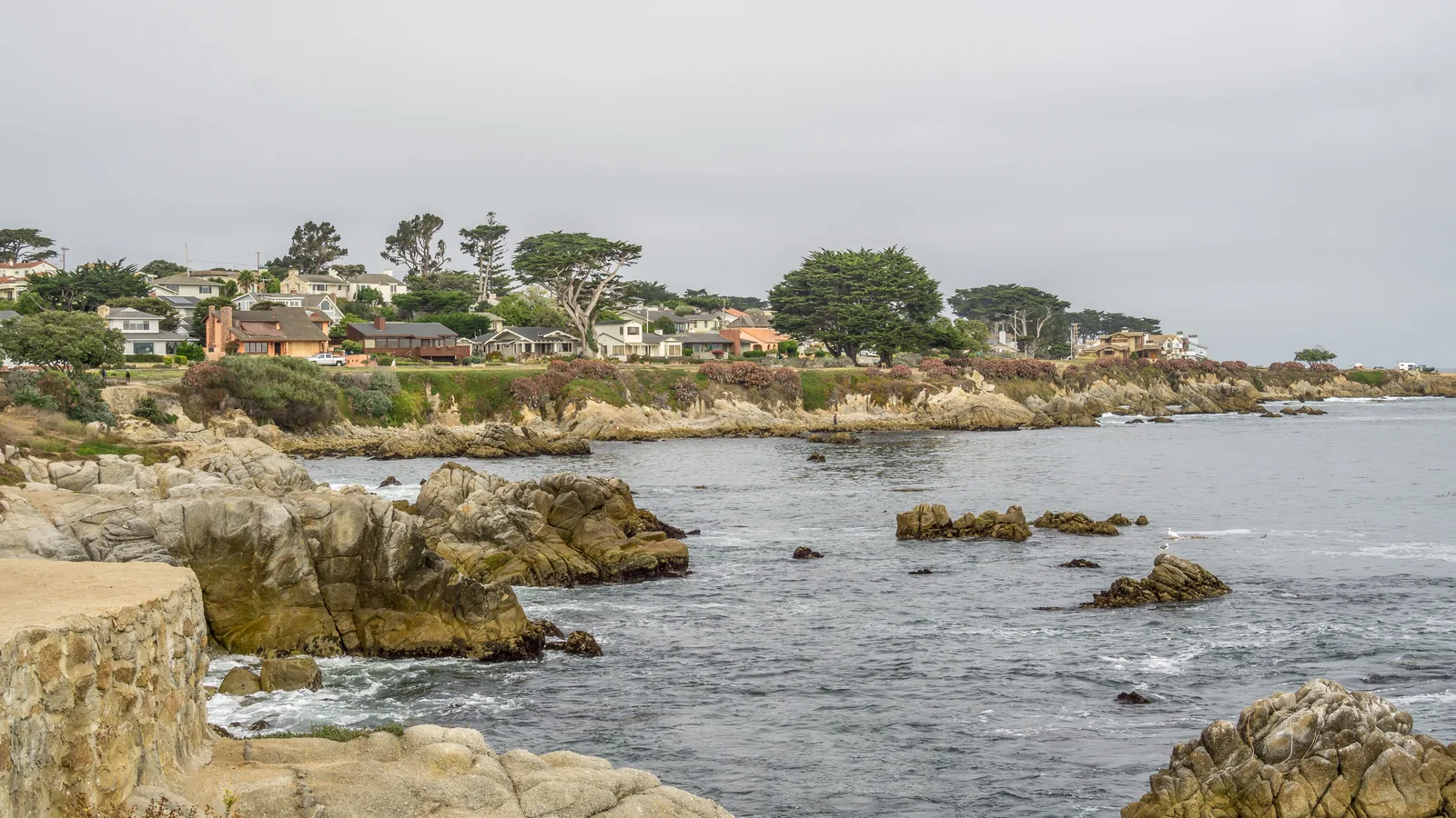 Coastal homes overlooking a rocky shoreline